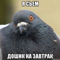 я сьем дошик на завтрак