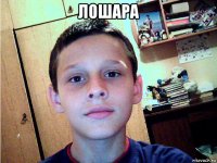 лошара 