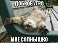 доброе утро мое солнышко