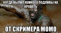 когда вылил немного подливы на кровать от скримера momo