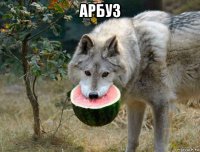 арбуз 