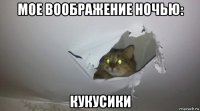 мое воображение ночью: кукусики