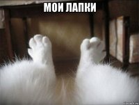 мои лапки 