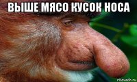 выше мясо кусок носа 