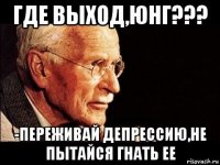 где выход,юнг??? -переживай депрессию,не пытайся гнать ее