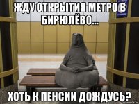 жду открытия метро в бирюлёво... хоть к пенсии дождусь?
