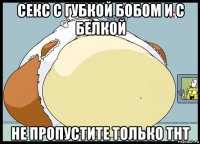 секс с губкой бобом и с белкой не пропустите только тнт