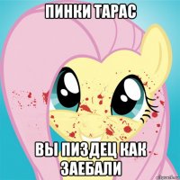 пинки тарас вы пиздец как заебали