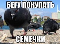 бегу покупать семечки