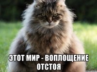  этот мир - воплощение отстоя