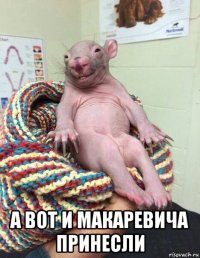  а вот и макаревича принесли
