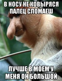 в носу не ковыряся палец сломаеш лучше в моем у меня он большой