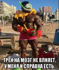  трен на мозг не влияет, у меня и справка есть.