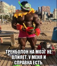  тренболон на мозг не влияет, у меня и справка есть.