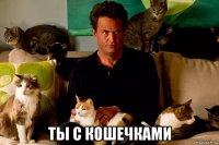  ты с кошечками