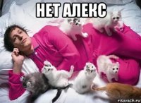 нет алекс 