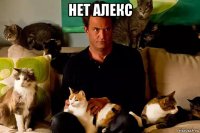 нет алекс 