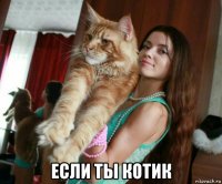  если ты котик