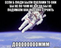 если б люди были пчелами то они бы не по чом не когда бы не подумали как высоко строить дооооооооммм