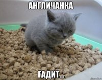 англичанка гадит...