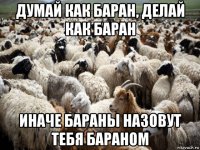 думай как баран, делай как баран иначе бараны назовут тебя бараном