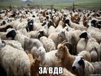  за вдв