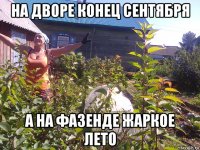 на дворе конец сентября а на фазенде жаркое лето