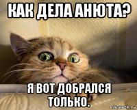 как дела анюта? я вот добрался только.