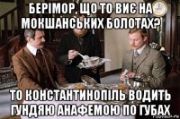 берімор, що то виє на мокшанських болотах? то константинопіль водить гундяю анафемою по губах