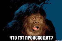 что тут происходит?