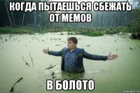 когда пытаешься сбежать от мемов в болото