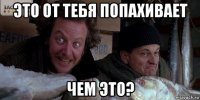 это от тебя попахивает чем это?