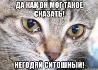 да как он мог такое сказать! негодяй ситошный!