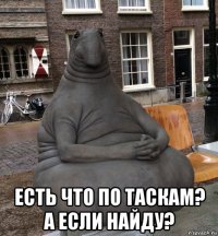  есть что по таскам? а если найду?