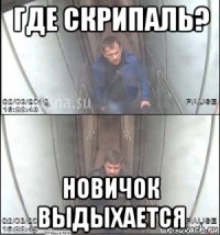 где скрипаль? новичок выдыхается