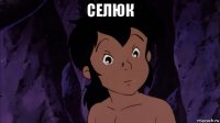 селюк 