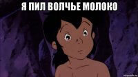 я пил волчье молоко 
