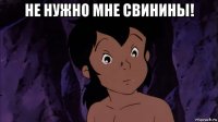 не нужно мне свинины! 