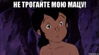 не трогайте мою мацу! 