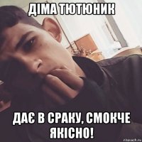 діма тютюник дає в сраку, смокче якісно!