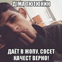 діма тютюник даёт в жопу, сосет качест верно!