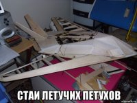  стаи летучих петухов