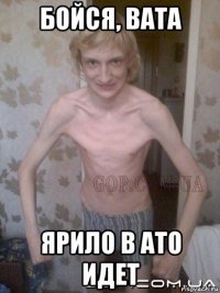 бойся, вата ярило в ато идет