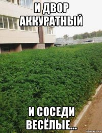 и двор аккуратный и соседи весёлые...