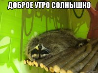 доброе утро солнышко 