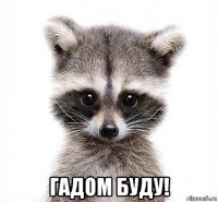  гадом буду!