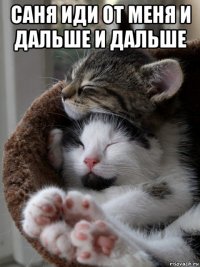 саня иди от меня и дальше и дальше 