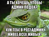 а ты хочешь чтобы админ подох? хуй тебе в рот! админ живее всех живых!