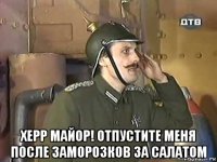  херр майор! отпустите меня после заморозков за салатом