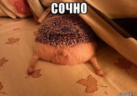 сочно 